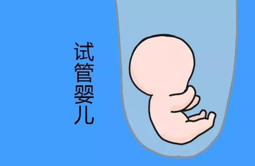 安孕冻胚移植专科